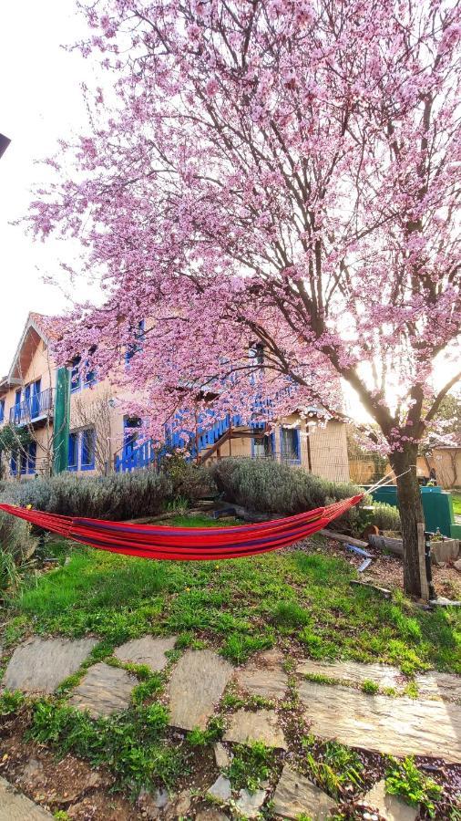 Albergue De Peregrinos Casa Flor Murias de Rechivaldo Luaran gambar