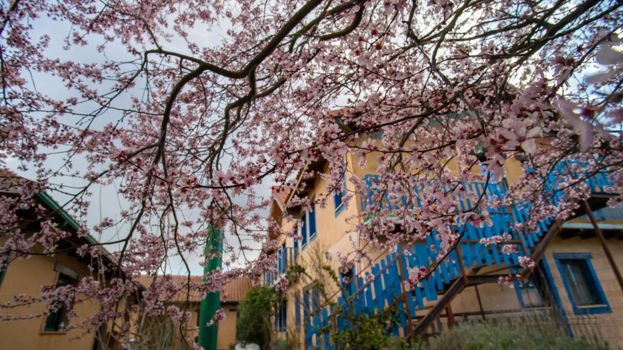Albergue De Peregrinos Casa Flor Murias de Rechivaldo Luaran gambar